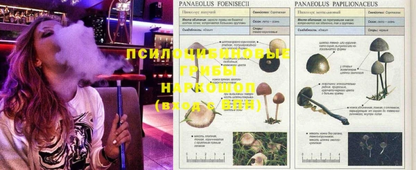 скорость Балахна